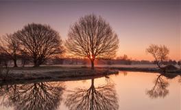 摩羯座最好的朋友是什么座