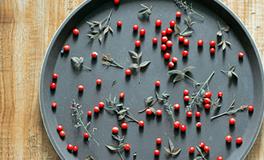 南烛2017年12月星座财富运势