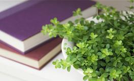 灵运大师12月14日生肖运势