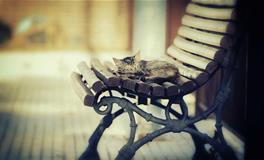 和哪些星座相处，能让你心情变好