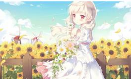 铃兰一周塔罗感情运势（12.25.-12.31）