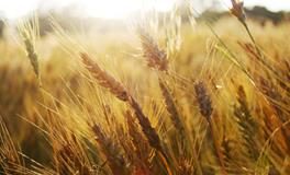 回首2017，十二星座都有什么收获