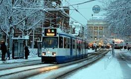 苏珊米勒今日运势2018年1月1日