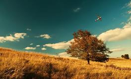 2018年你会被好运眷顾吗