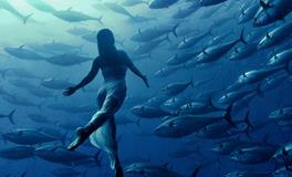 鱼在梦中的寓意是什么？