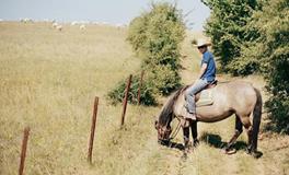 玛法达2018年十二星座整体运势