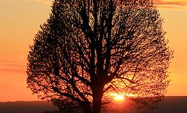 巨蟹座一定要懂的心理效应