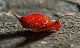 分手后，12星座女会关注前任微博吗