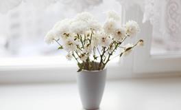 最容易让12星女产生离婚念头的小事