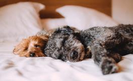 床头不能朝西？很多人都犯了这个错误！