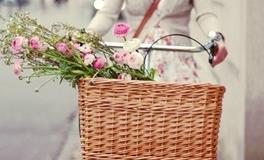 Geo老师双子座一周运势（1.21-1.27）