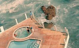 紫微14主星一周运势（1.29-2.4）