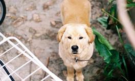 Eskey双子座2018年2月运势