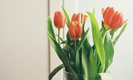 Eskey天蝎座2018年2月运势