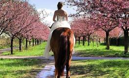 占卜2018年你会遇到什么样的另一半