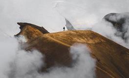 紫微14主星一周运势（2.5-2.11）