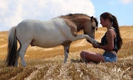 生活中你最依赖的对象是谁呢？