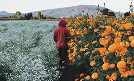 测你是不是一个害怕被拒绝的人