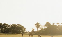 寂多蔓生金牛座一周运势（3.5-3.11）