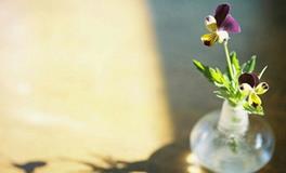 三月份爱情运最好的星座