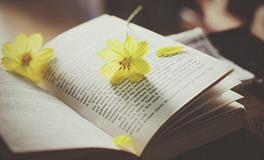 见面留微信，交友滥竽充数的星座