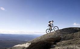 性子决绝，做事从不为自己留后路的星座