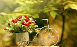 12星座男生最喜欢的恋爱模式排行榜