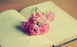 测试：你最近的桃花指数有多高？