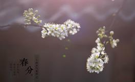 二十四节气之春分