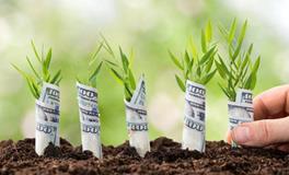 看起来呆萌，实则最能赚大钱的O血型人