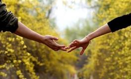 测你的感情会不会一波三折