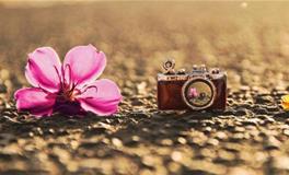 苏珊米勒:今日运势2018年4月28日