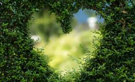 属兔配什么生肖最好？