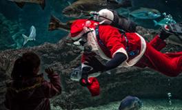 梦见鱼什么意思