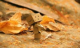 智商高天赋强，却不爱努力的星座