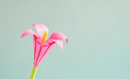 梦见佛光是什么意思