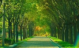 水则堂:2018年6月4日生肖运势