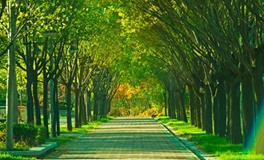 Alex金牛座一周运势（6.4—6.10）