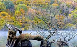 Alex射手座一周运势（6.4—6.10）