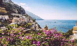 风水中最招财的植物有哪些