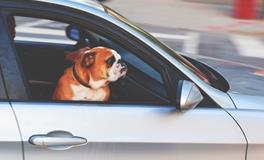 汽车挂饰的风水寓意