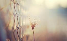 一旦被怠慢，就会选择离开的星座