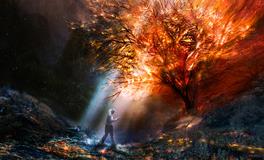 梦见火烧大树是什么意思