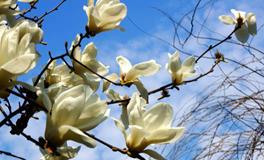 春分养生，春分应该吃什么？