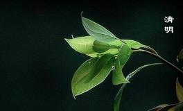 2019年清明，清明是几月几日？