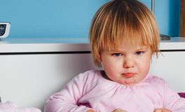 属狗的和什么属相相克