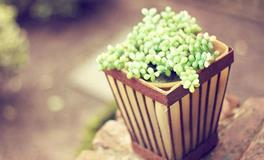 12星座下半年走什么运，穿什么鞋？