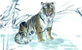 属虎2019年运势运程 生肖虎2019年运势大全