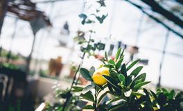 起名改名哪些事项要注意