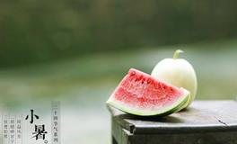 小暑时节的谚语大全